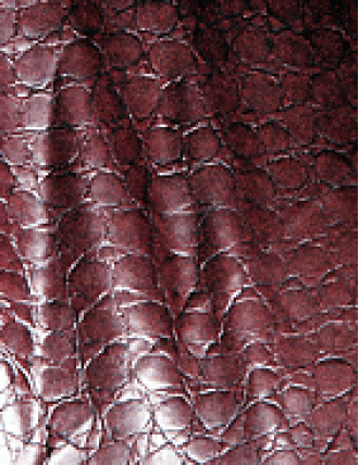 Struktur Latex Croco Purple